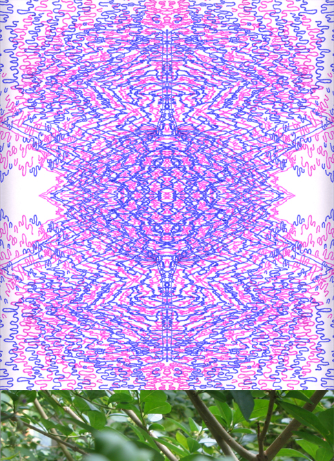 musiccforplants.jpg