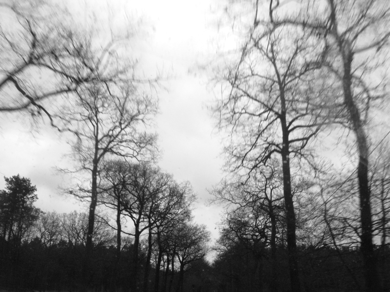 IMG_00240