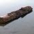 Log_Gary