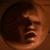 Josie_As_Wooden_Knob